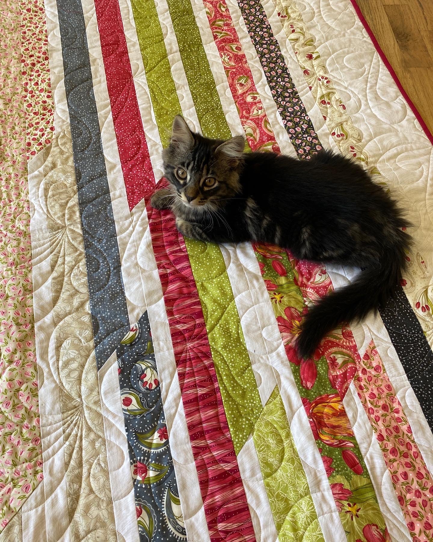 Sweet Roll Quilt Workshop Essentially Loved