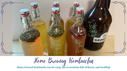Home-Brewing-Kombucha Essentially Loved Quilts